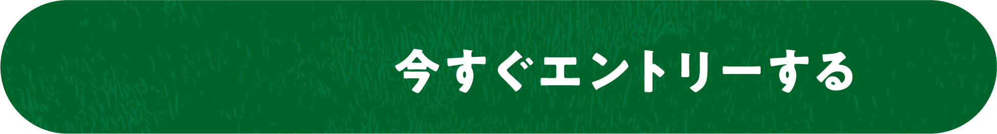 今すぐエントリーする