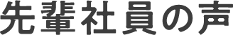 先輩社員の声